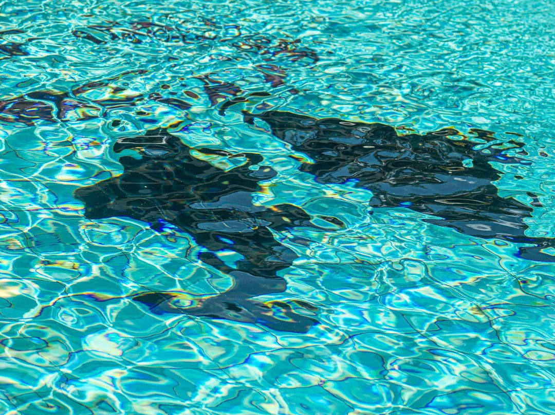 Chez Judy Resort主图