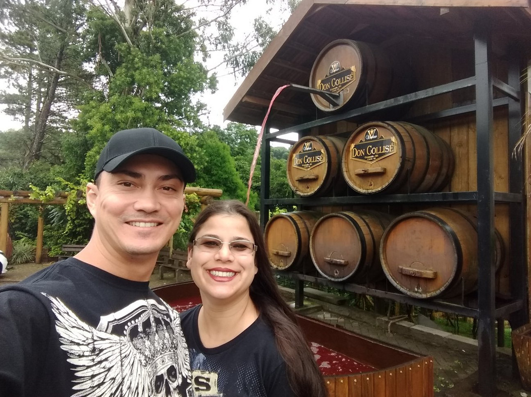 Vinhos Don Collise-格拉玛多必去景点