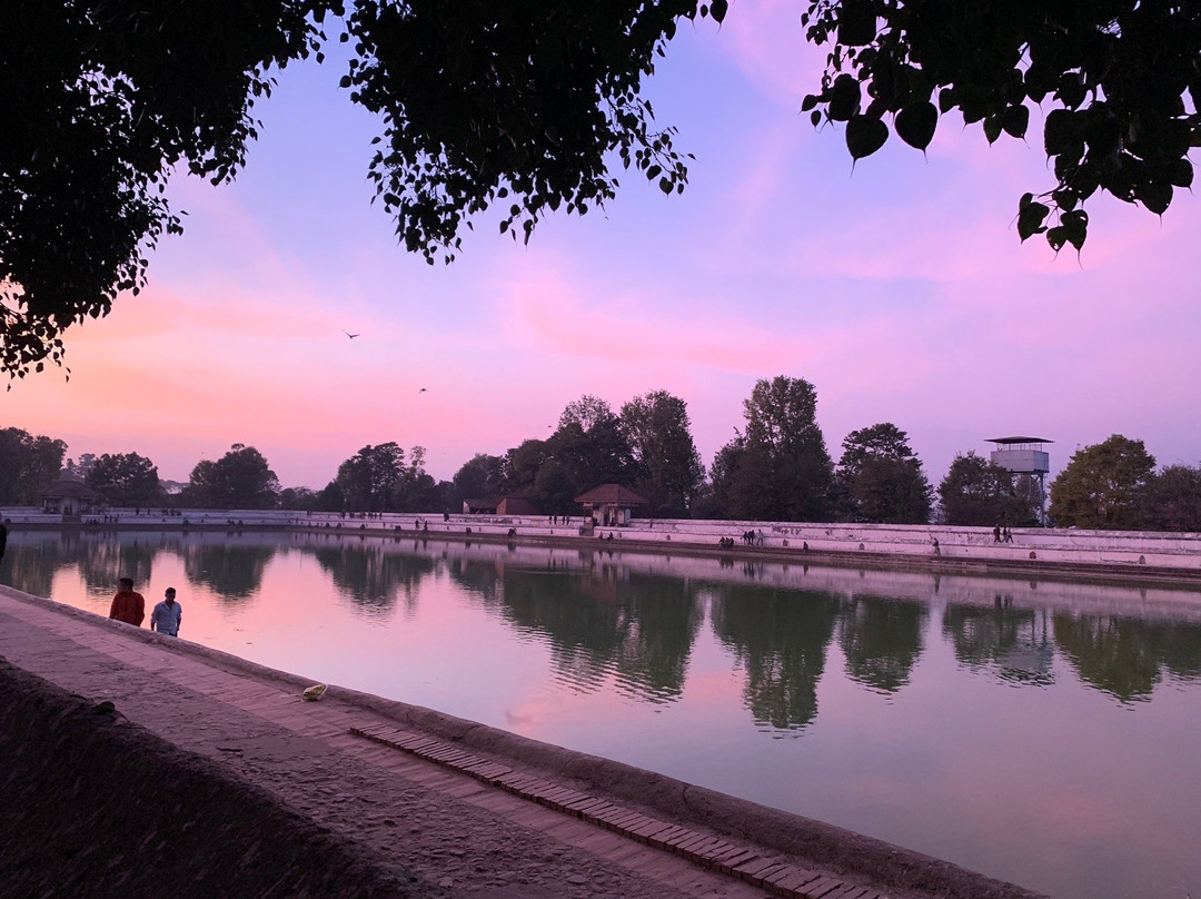 Krishna's House主图