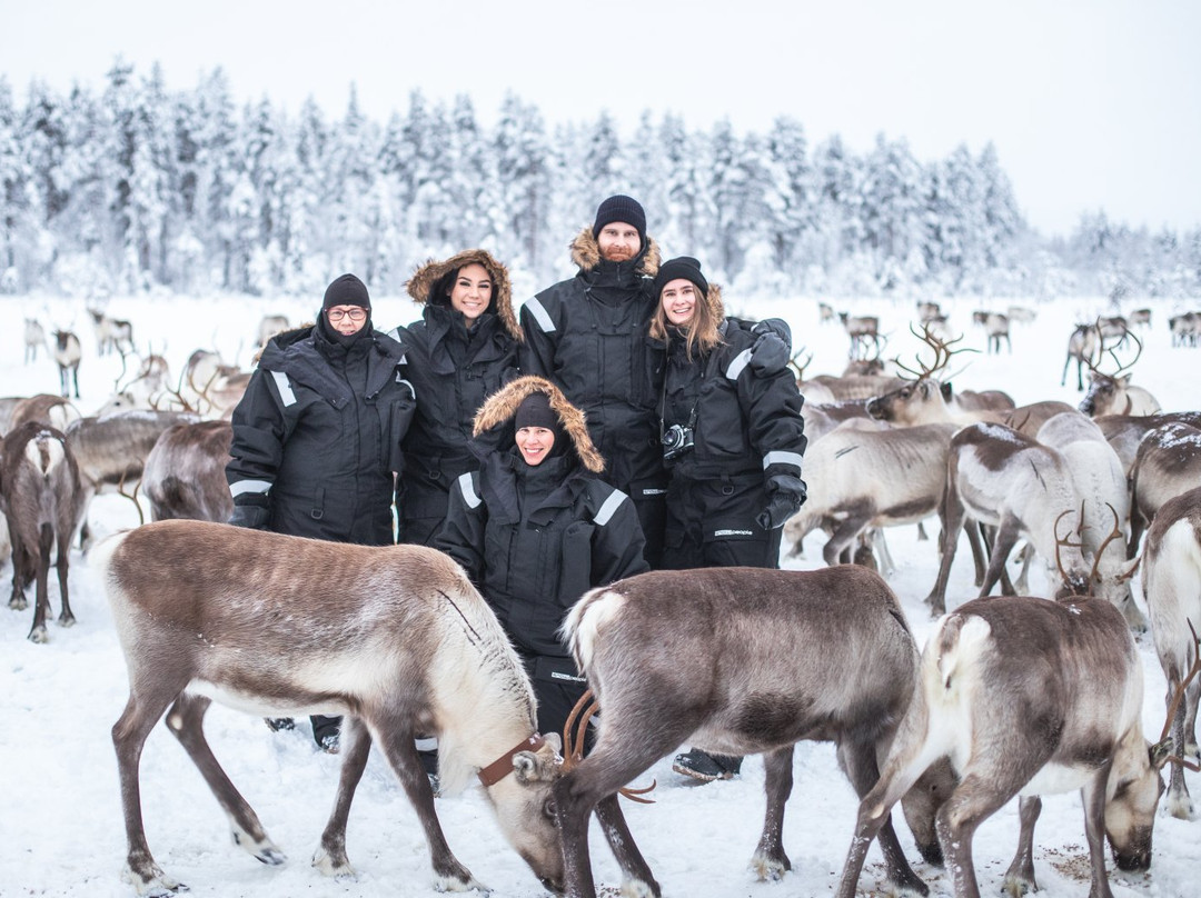 LIVING WITH REINDEER TOURS-Sodankyla必去景点
