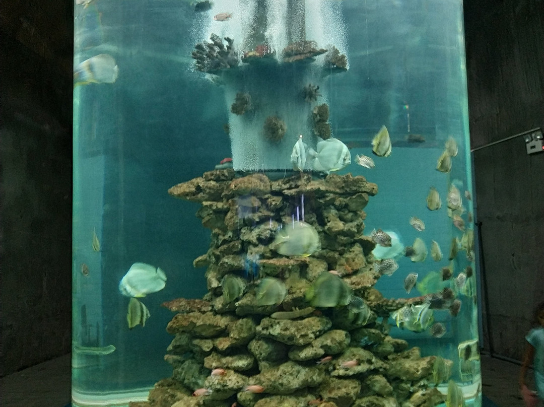 越南国家海洋博物馆-芽庄必去景点