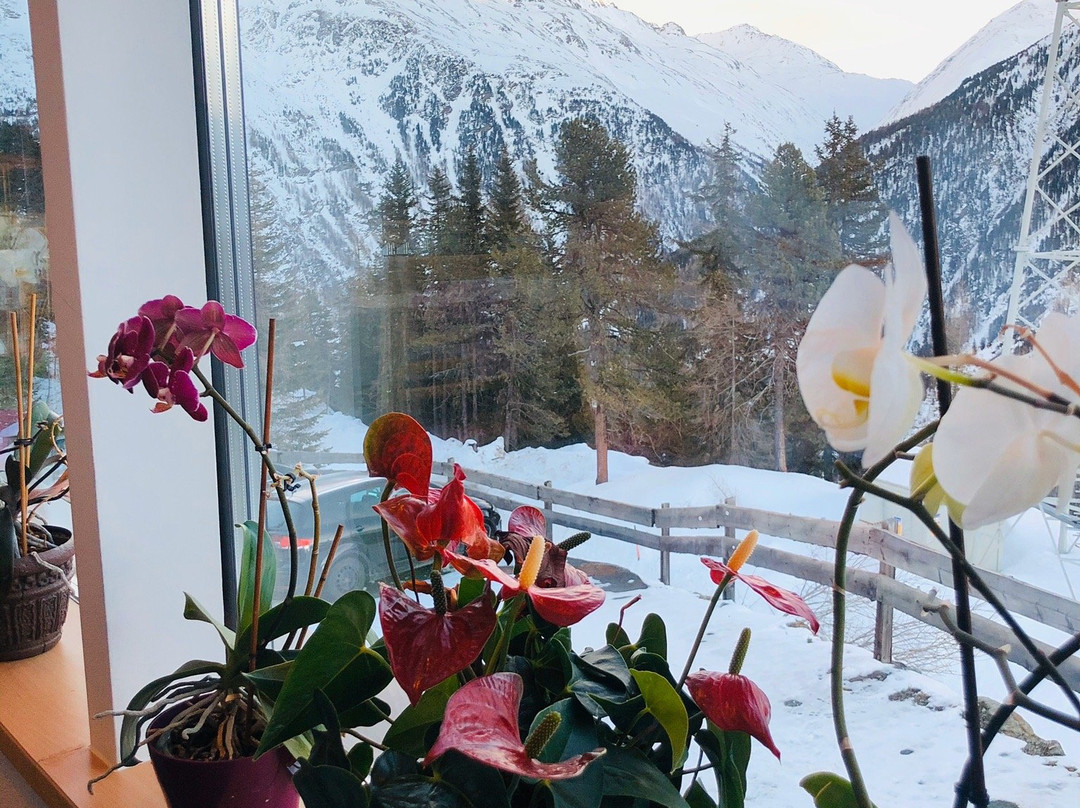 Alpengasthof Sonneck主图