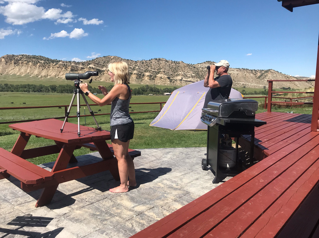 4 Bears bed and breakfast主图