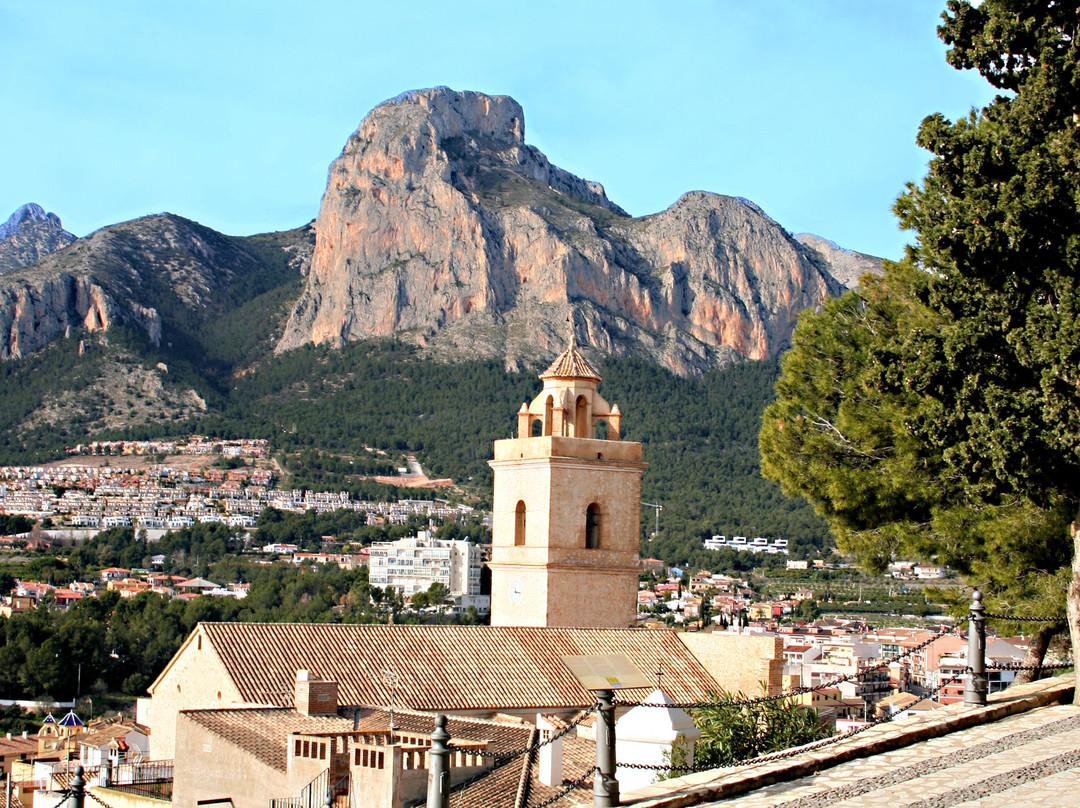 Iglesia San Pedro Apostol景点图片