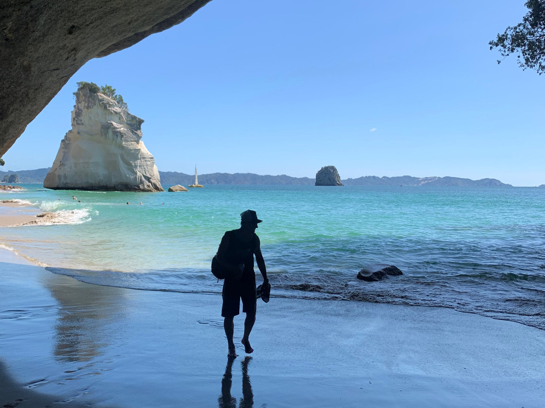 Kiwi Sights and Tours-奥克兰必去景点