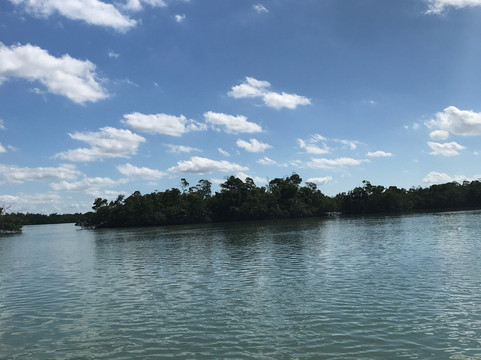 On a Mission Fishing Charters-那不勒斯必去景点