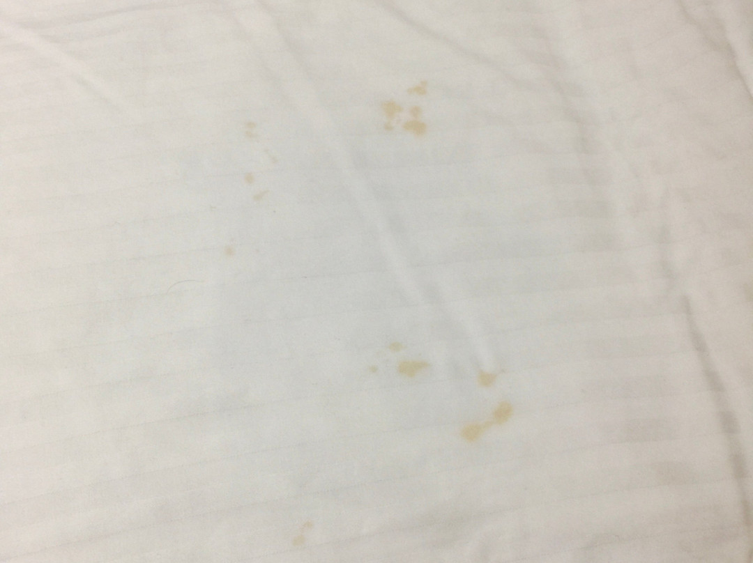 MYSTAYS 龟户酒店主图