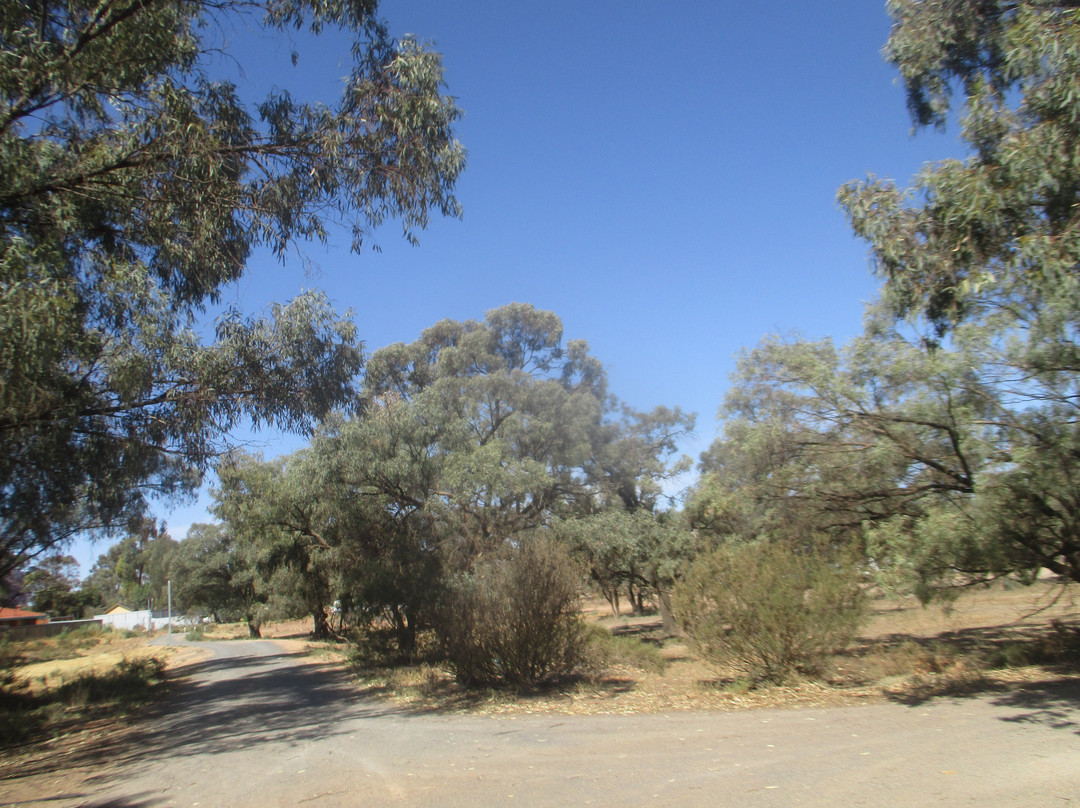 Buronga Wetlands-Buronga必去景点