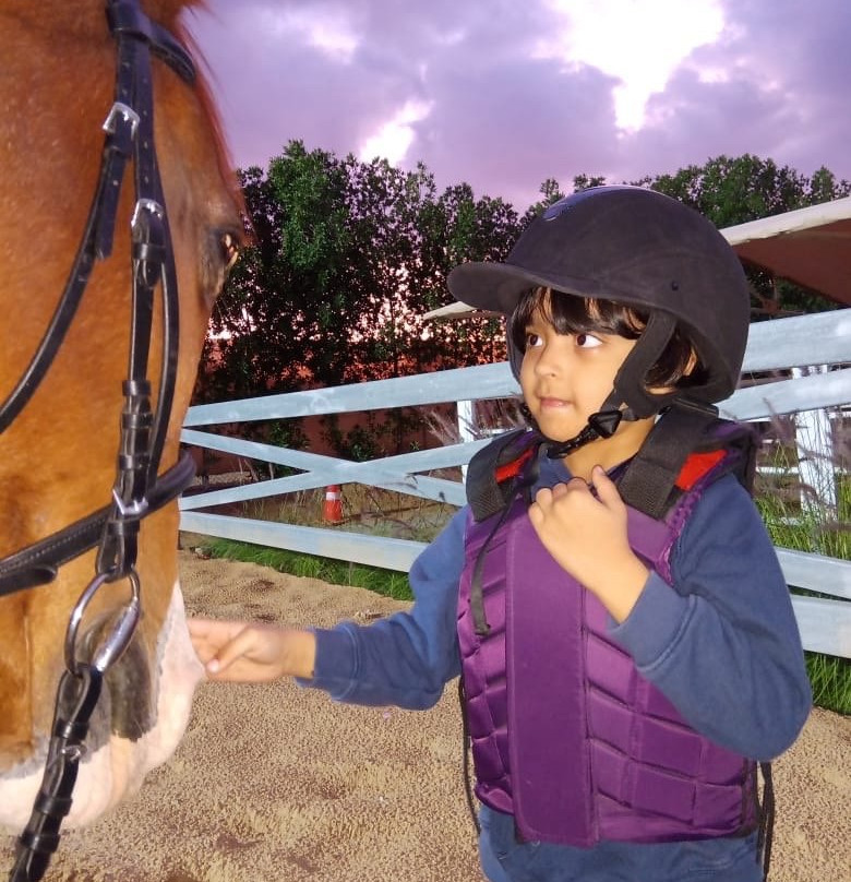 Al Jumooh-Al Awir必去景点