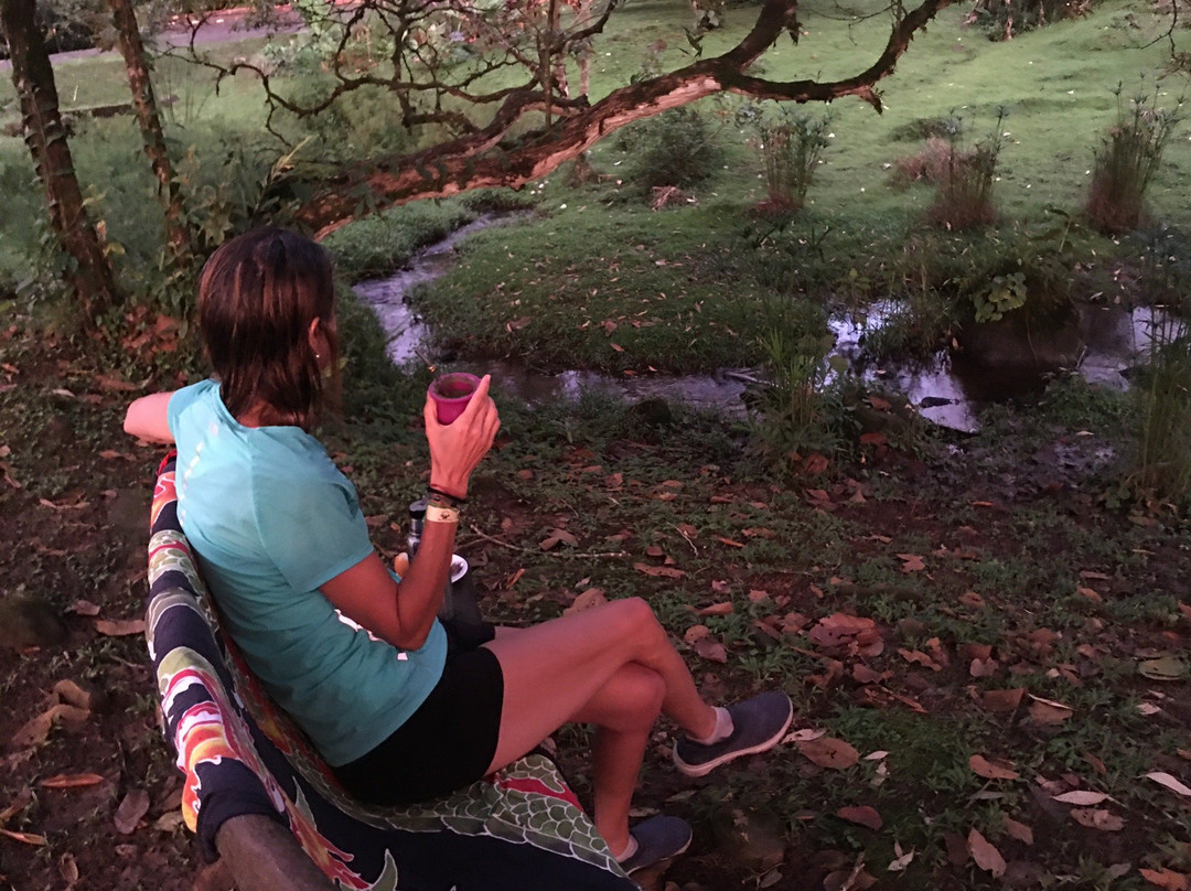 Blue River Hot Springs Eco-Adventure Tours景点图片