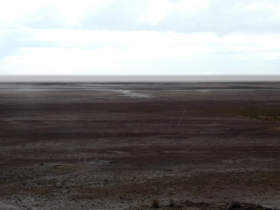 萨尔露娜萨拉达酒店主图