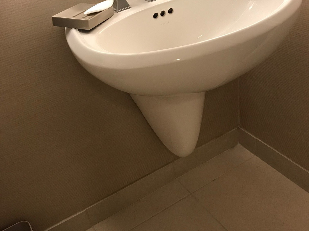 旧金山机场威斯丁酒店主图