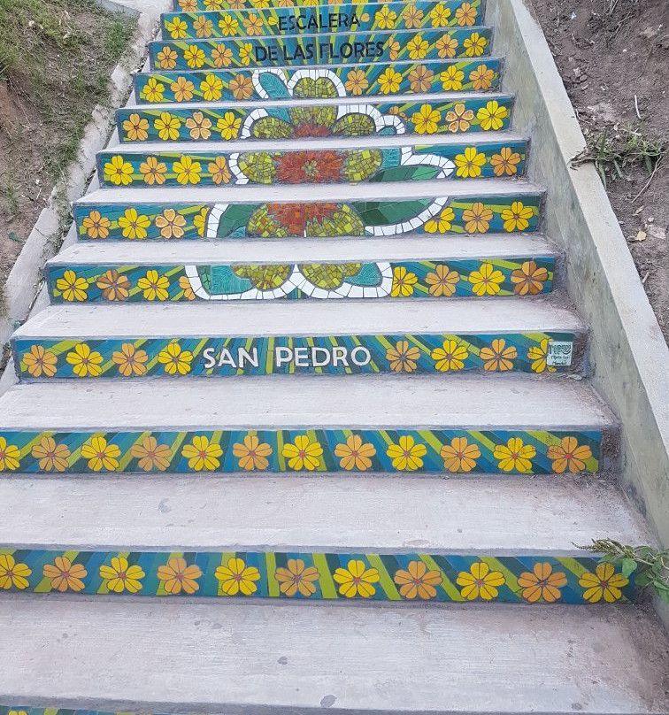 Escalera de Las Flores景点图片