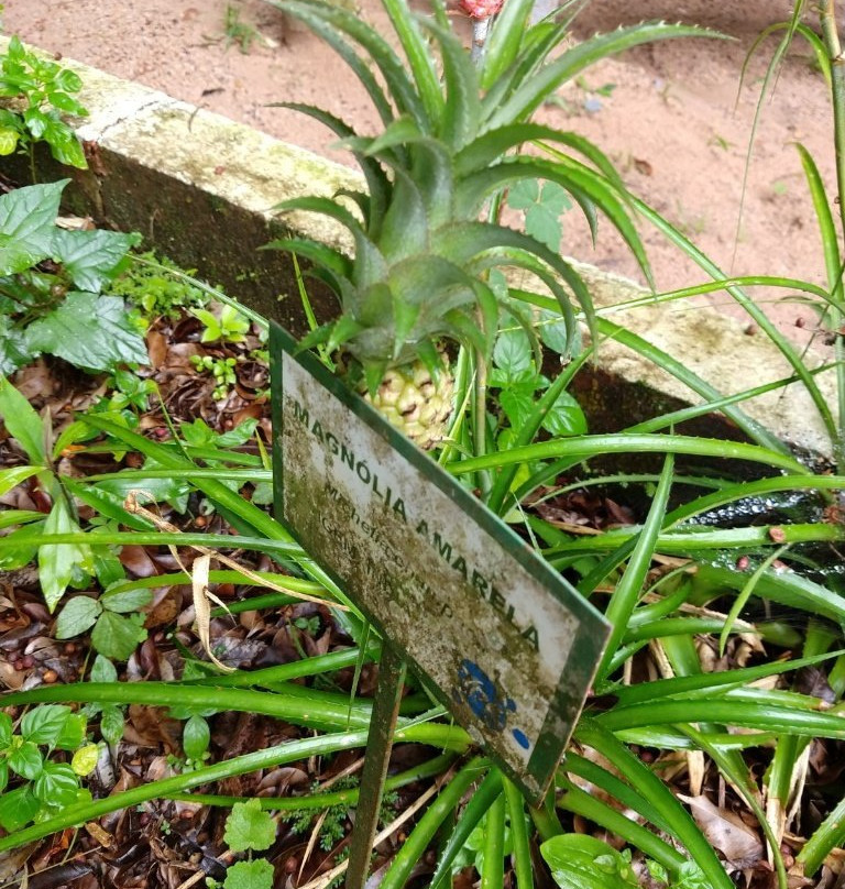 Ecological Park Dr. Paulino Recch-Amparo必去景点