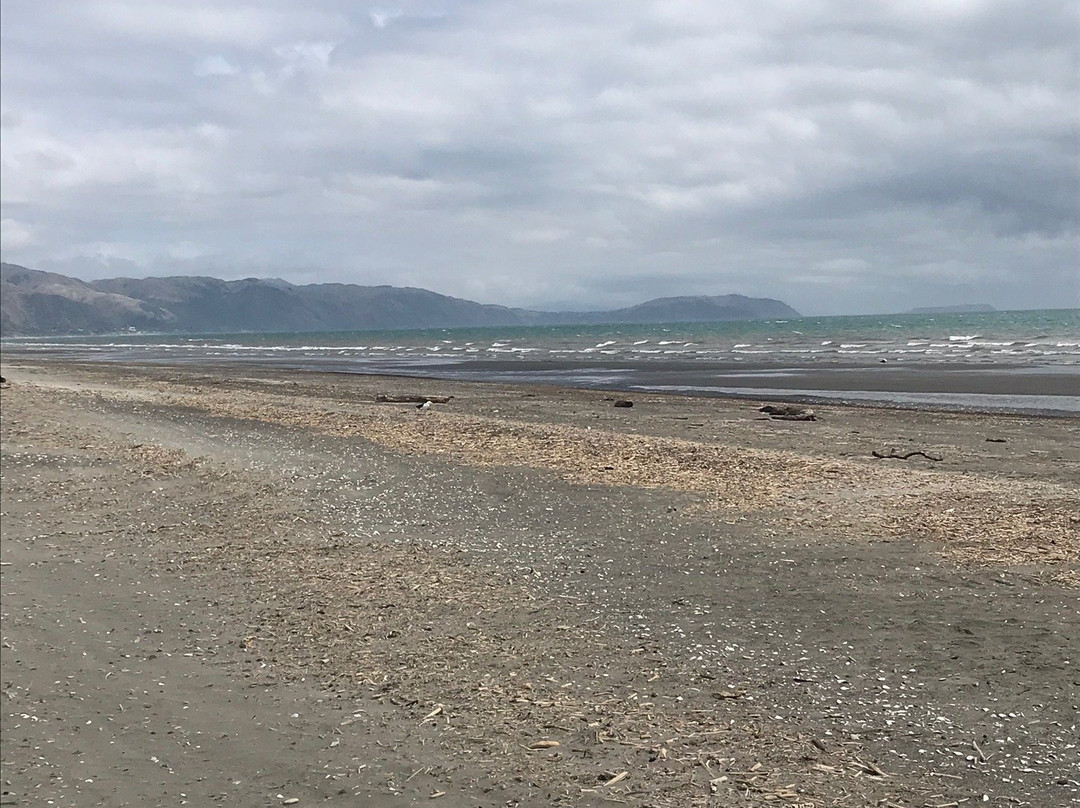 Paraparaumu Beach景点图片