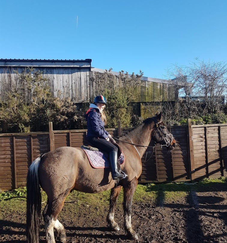 Caradon Hill Trekking and Equestrian Centre-Pensilva必去景点
