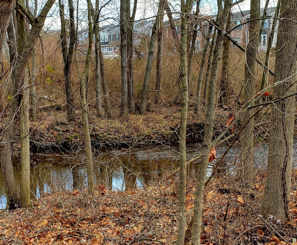 Bynum Run Park-Bel Air必去景点