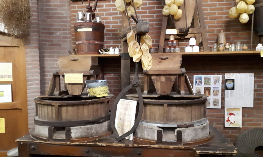 Doesburgsche Mosterdfabriek-Doesburg必去景点