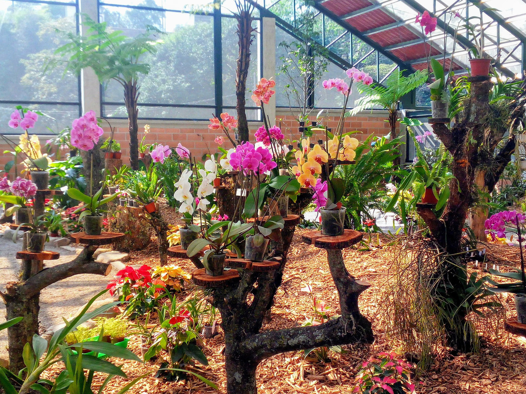 BiOri-欧瑞扎巴必去景点