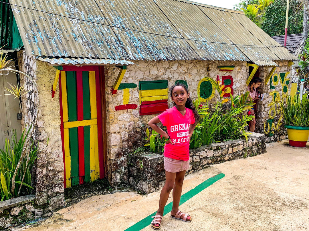 ExplorerJamaica Tours-奥乔里奥斯必去景点