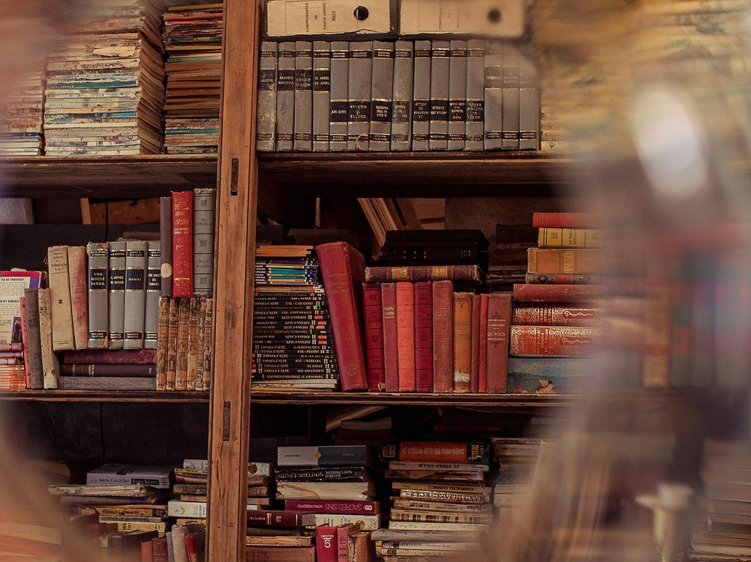 Experience Baires-布宜诺斯艾利斯必去景点