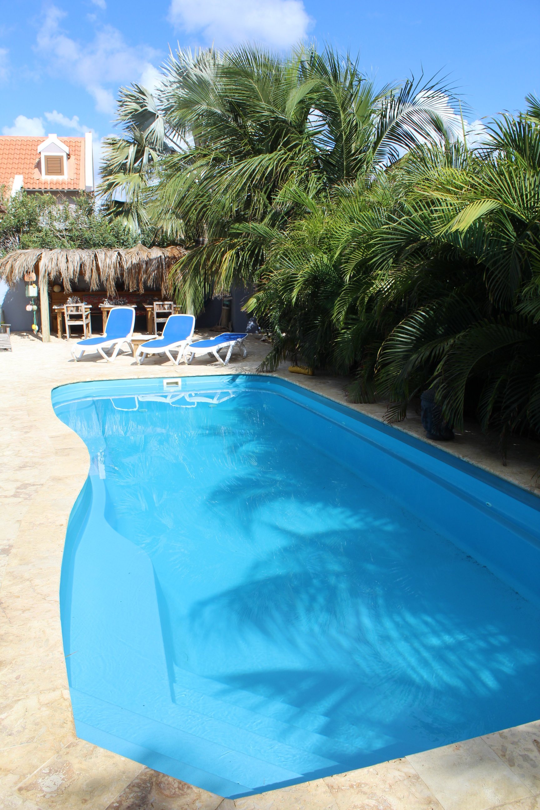 Oasis Guesthouse Bonaire-泳池