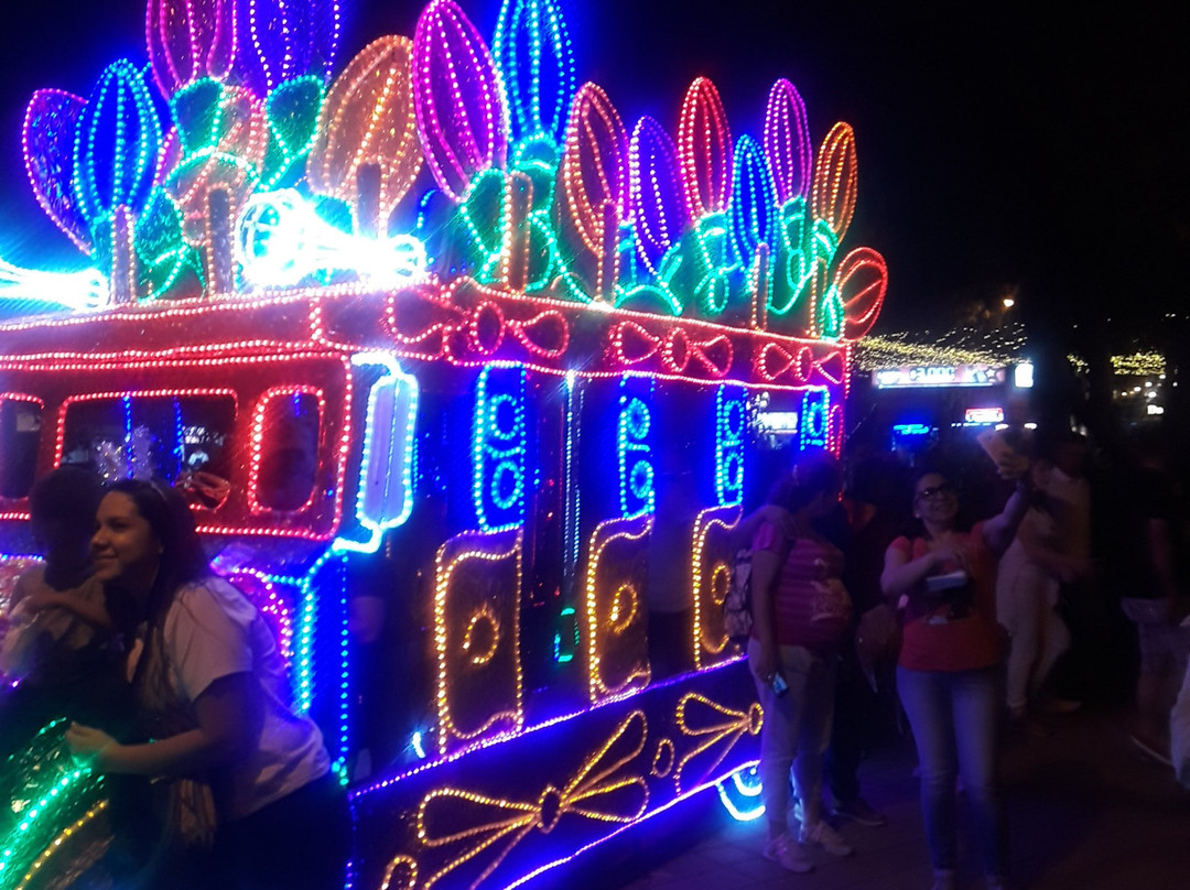 Turibus Colombia-麦德林必去景点