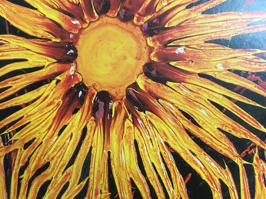 Landmark Gallery-凯恩斯必去景点