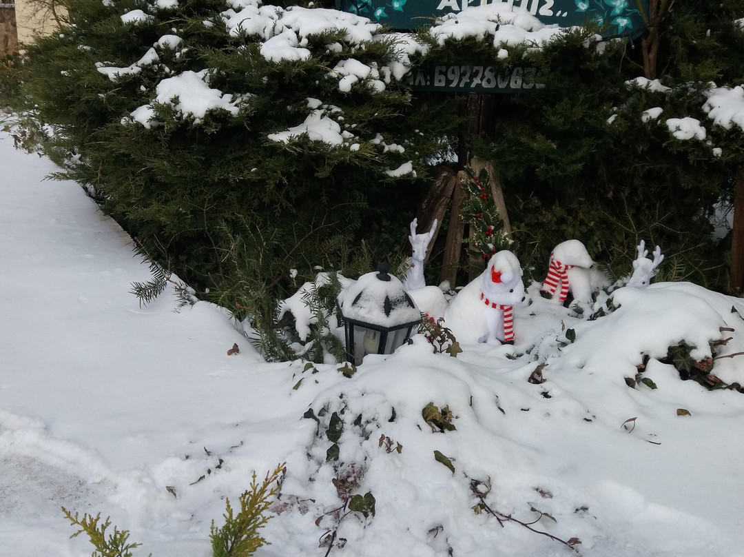 Rooms to Let Artemis主图