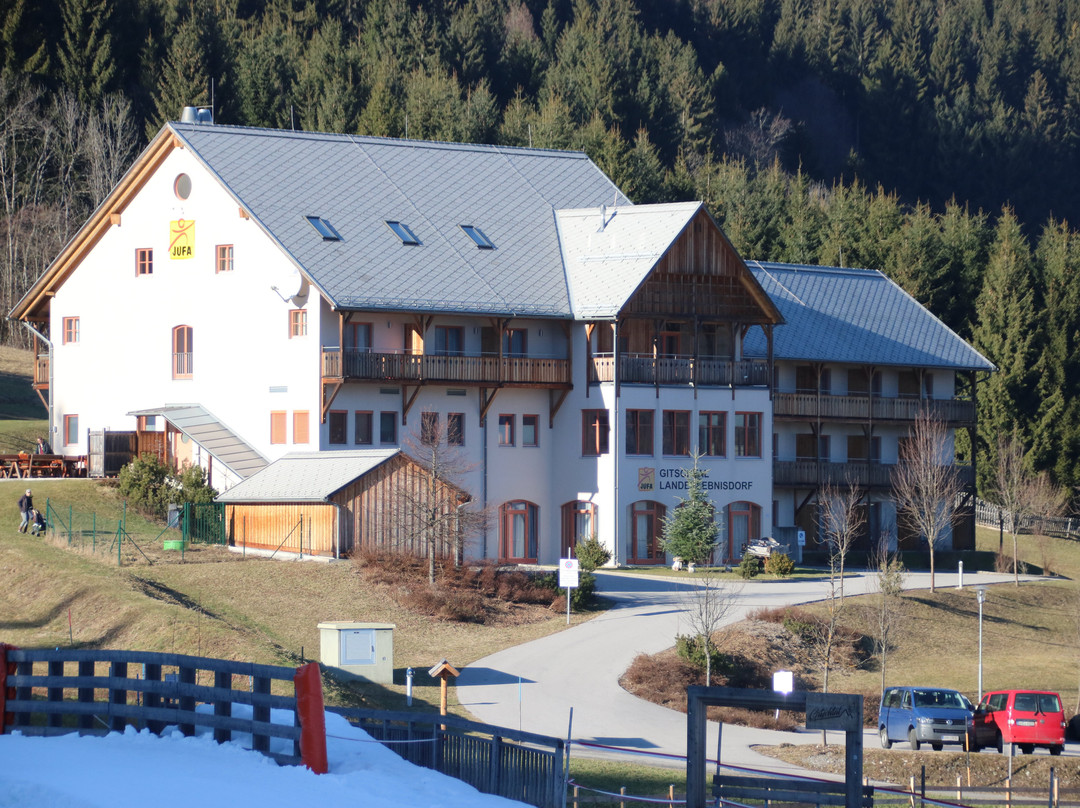 Jufa Hotel Gitschtal***主图