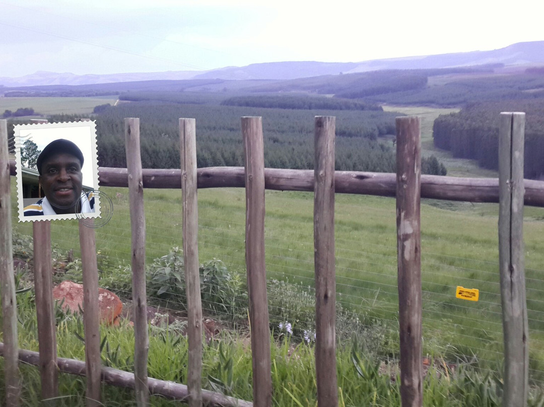 Curry's Post B&B主图