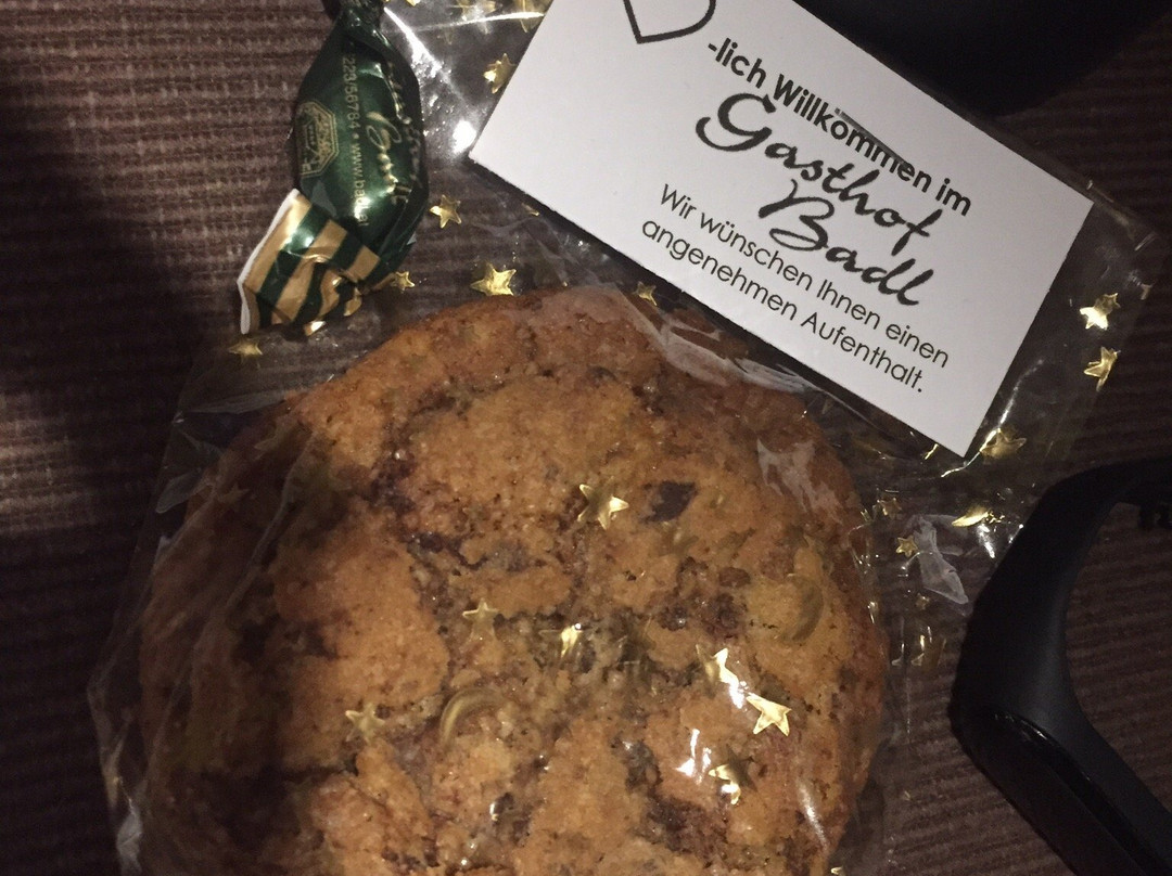 伽斯霍夫巴德尔酒店主图