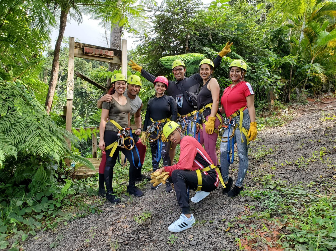 El Yunque Rainforest Corcovado Adventures-Luquillo必去景点