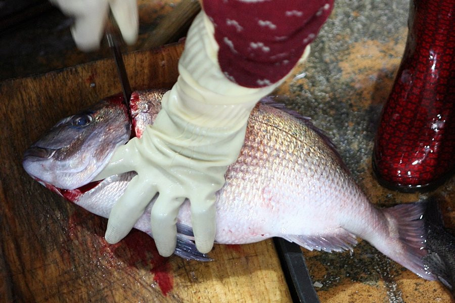 Suhyup Susanmul Center-高兴郡必去景点