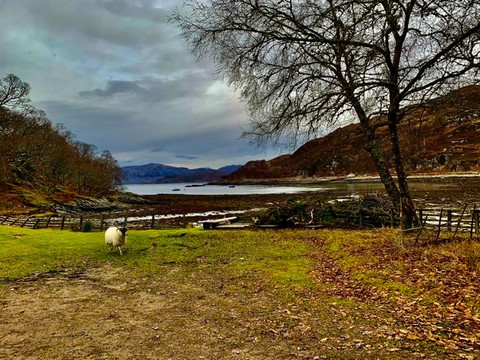 Wild West-威廉堡必去景点