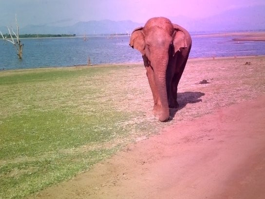 Apsara Tours-Boossa必去景点