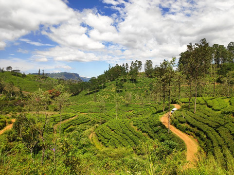 Great Holidays-尼甘布必去景点