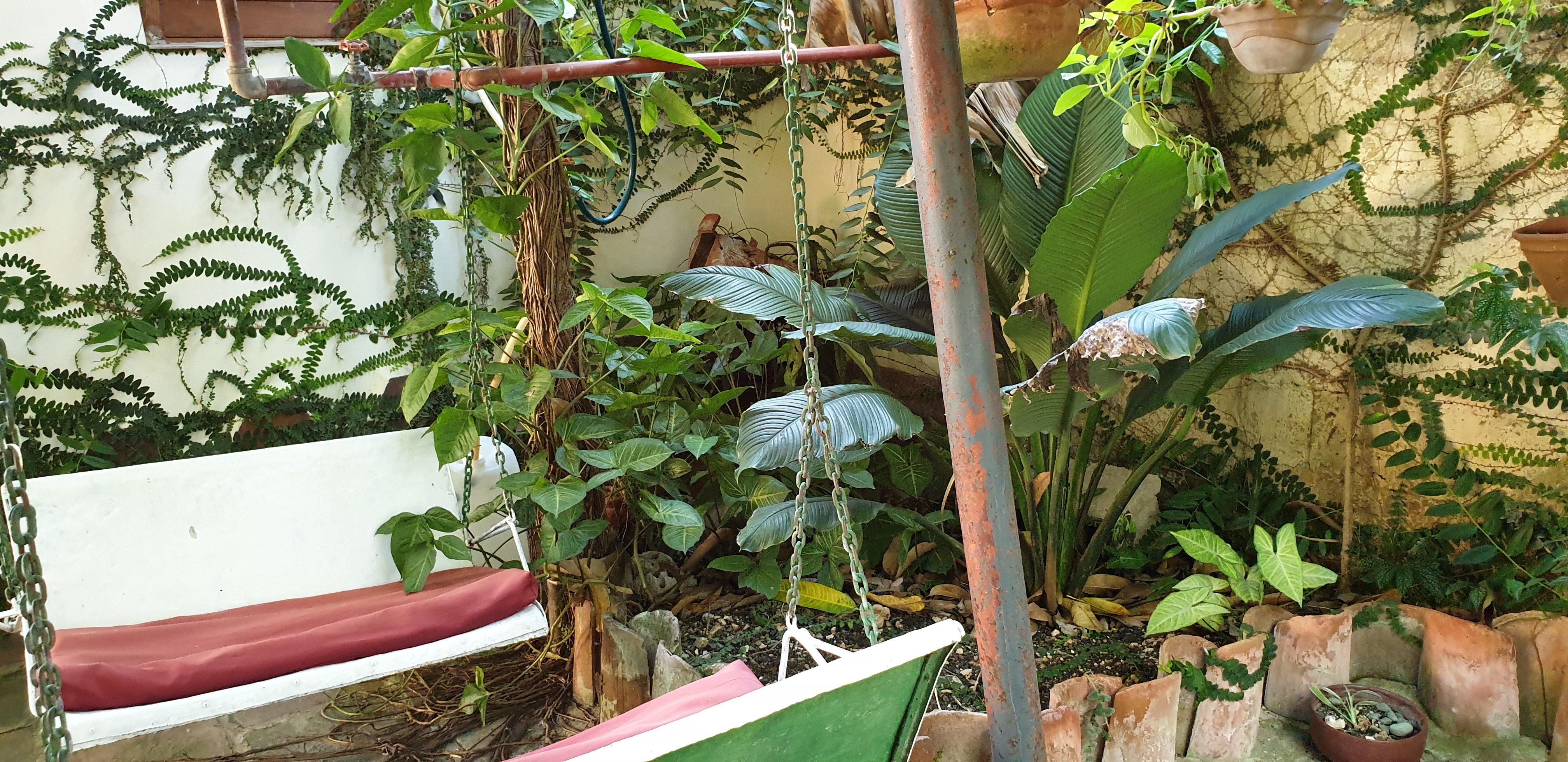 Hostal Refugio de Reyes-泳池