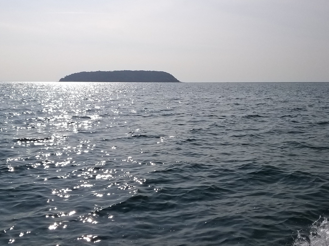 Scuba Evolution India-安朱纳必去景点