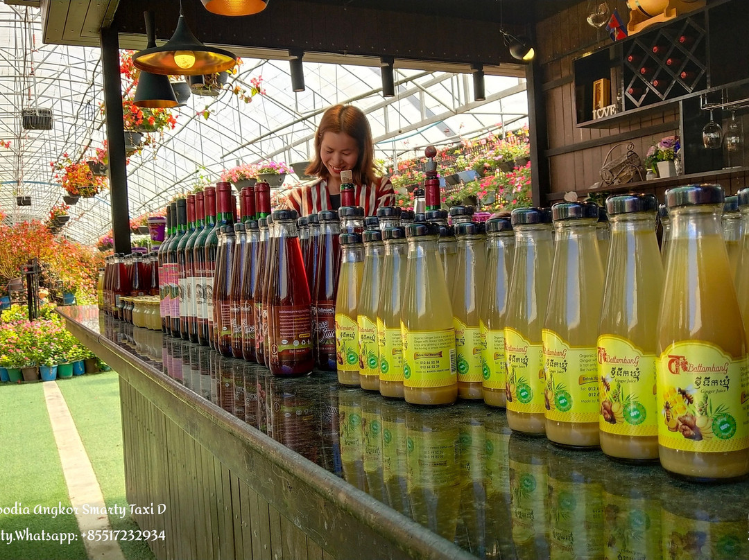 Chan Thay Chhoueng Plantation-马德望必去景点