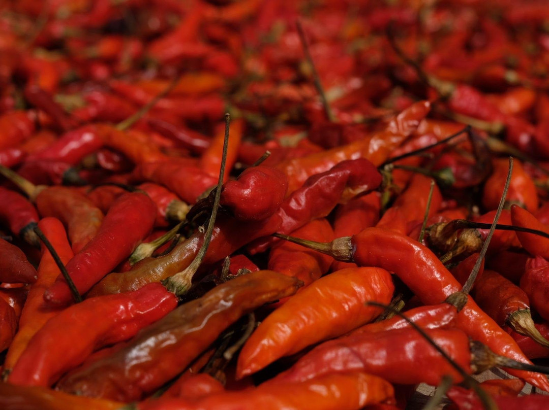 Souliphone Tour Co. (Q Adventure)-Nong Khiaw必去景点