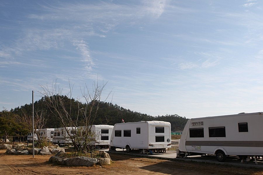 Taepyeong Salt Farm-新安郡必去景点