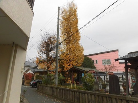 Shizuka Gozen Tomb-久喜市必去景点