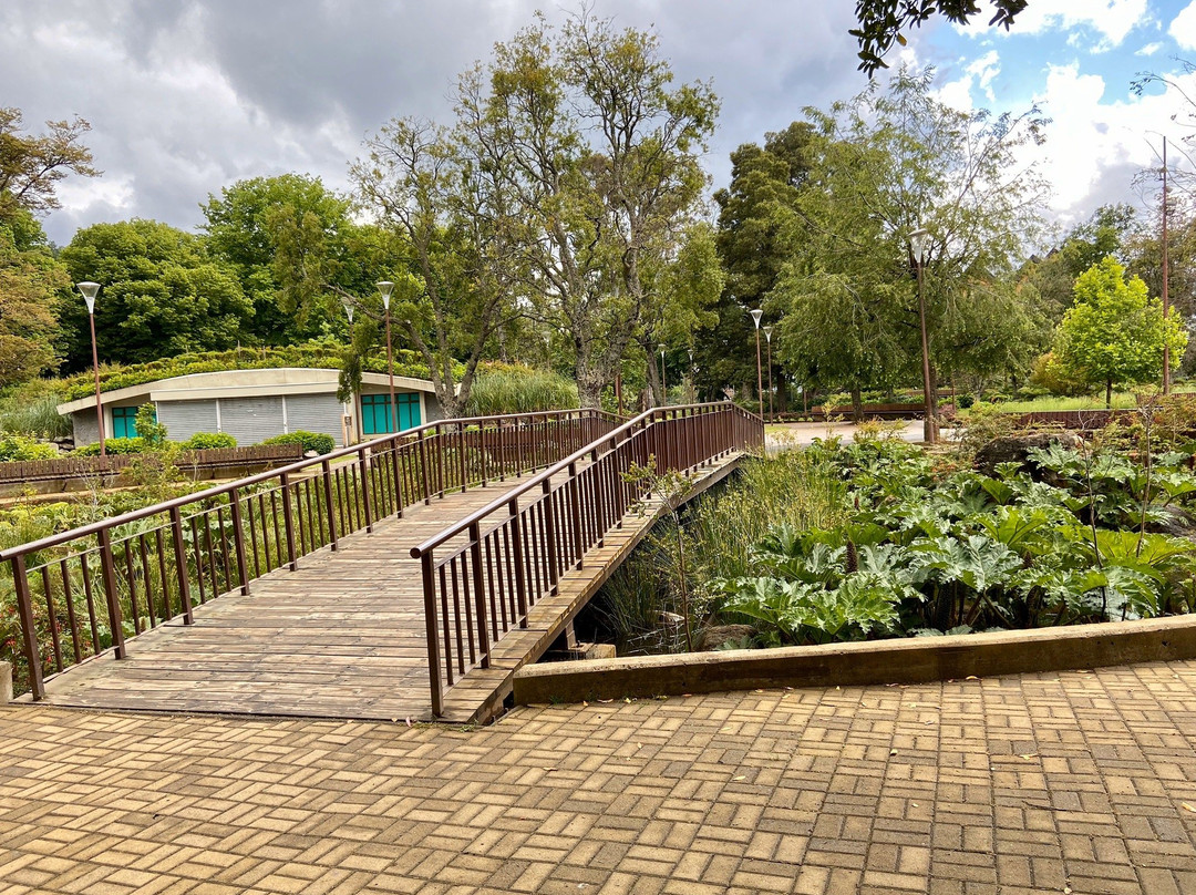 Plaza de Armas de Pucon-普孔必去景点