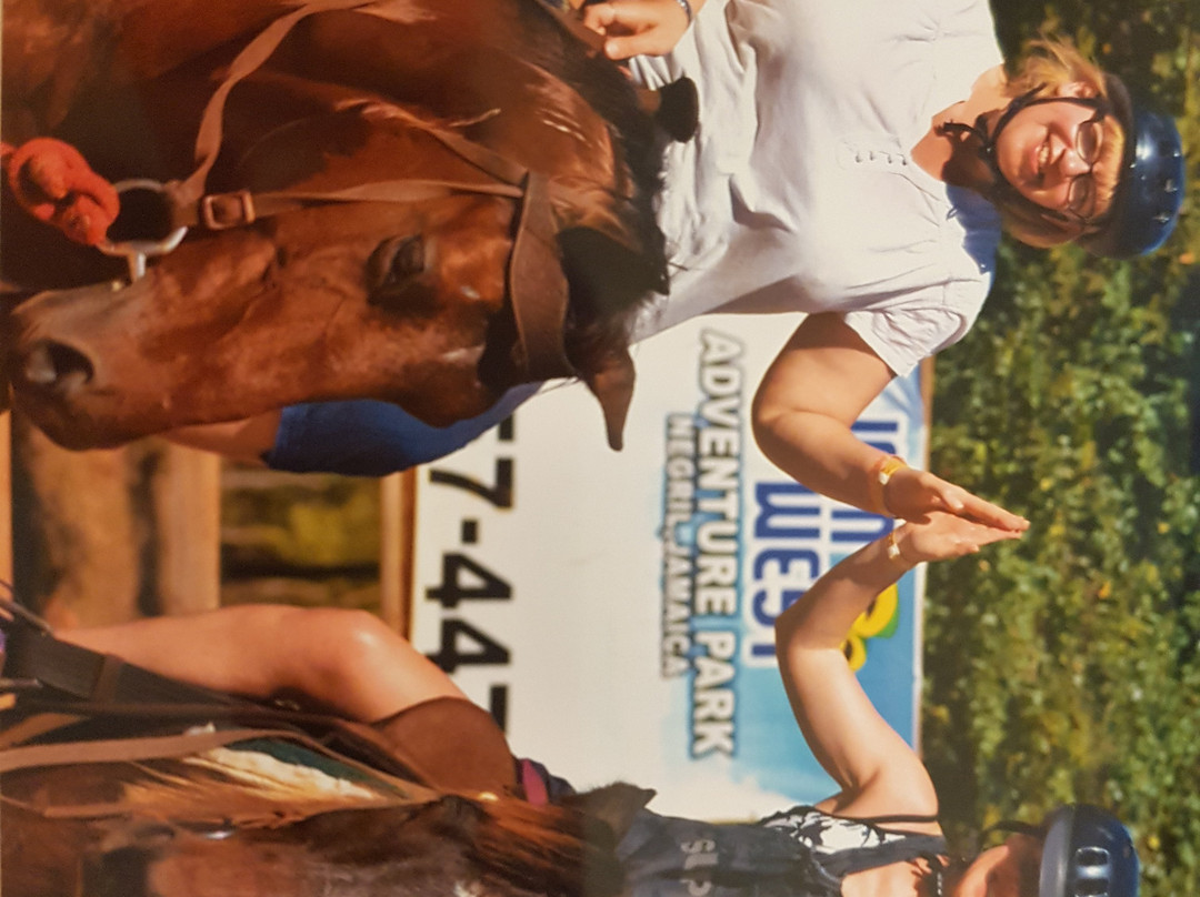 Jamwest Motorsports and Adventure Park-内格里尔必去景点