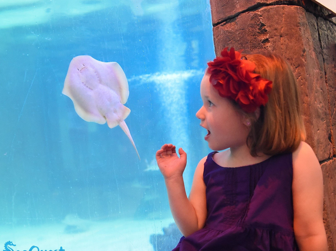 Woodbridge Aquarium & Wildlife Center