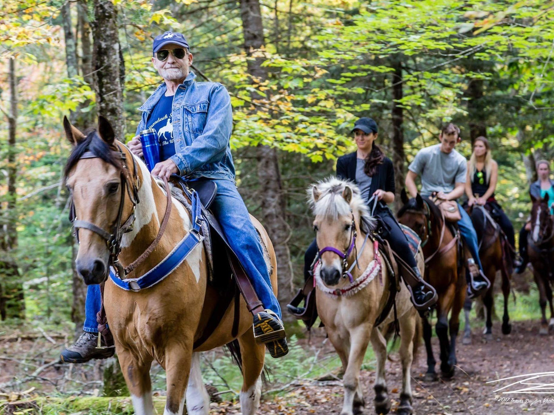 Adirondack Saddle Tours-Eagle Bay必去景点