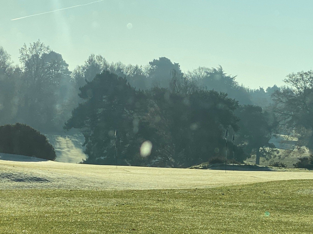 Sunningdale Golf Club景点图片