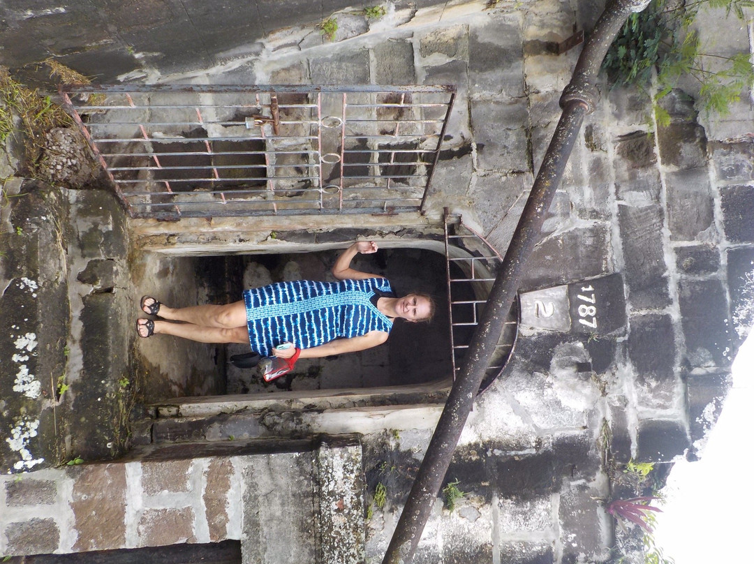 Island Routes Caribbean Adventures - Grenada-St. George's必去景点