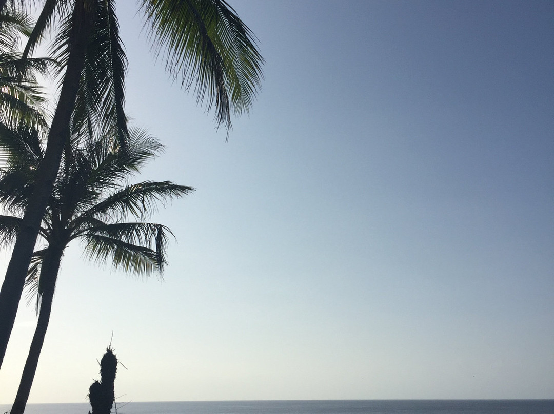 蓝色之星潜水度假酒店主图